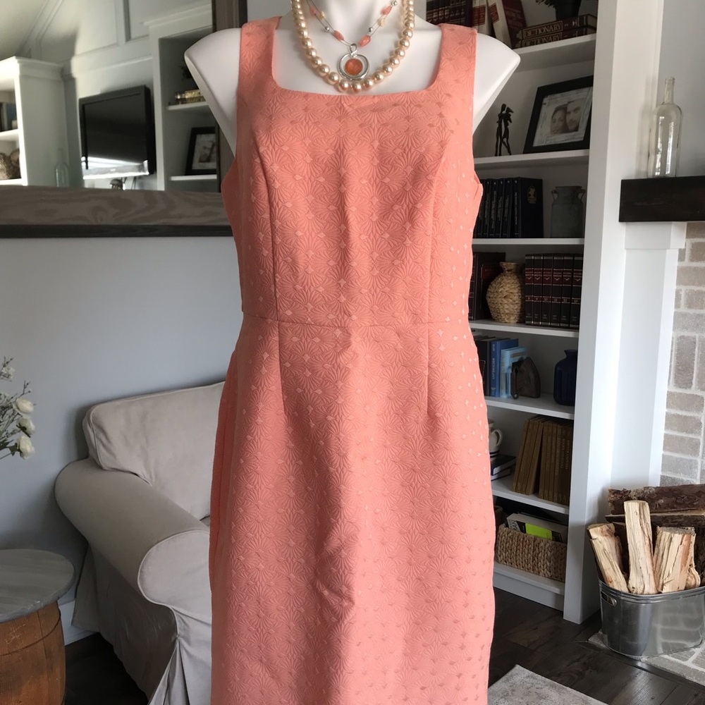 {BOGO} NWT The Limited Sheath Dress